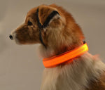 Load image into Gallery viewer, LED Dog Collar - Glow in the Dark Dog Collar - iBelk
