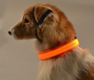 LED Dog Collar - Glow in the Dark Dog Collar - iBelk