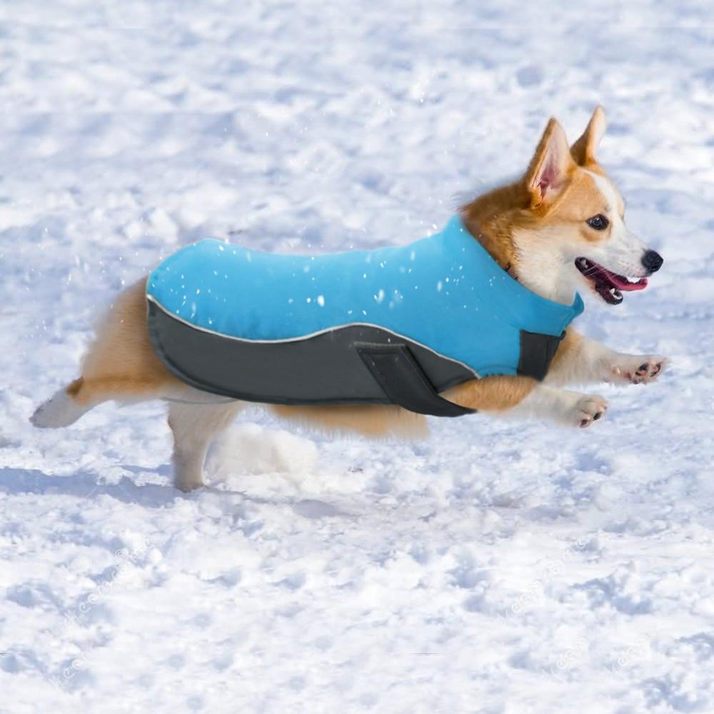 Dog Waterproof Jacket - iBelk