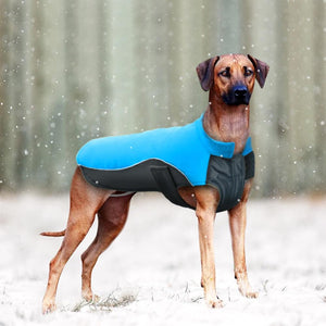 Dog Waterproof Jacket - iBelk