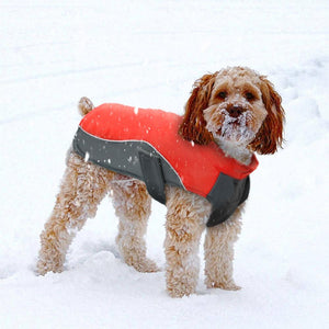 Dog Waterproof Jacket - iBelk