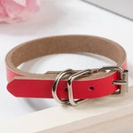 Load image into Gallery viewer, Durable PU Leather Dog Collar - iBelk
