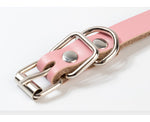 Load image into Gallery viewer, Durable PU Leather Dog Collar - iBelk
