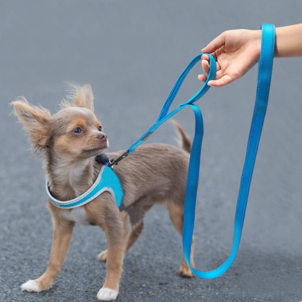 Double Handle Dog Leash for Control-Safety-Training - iBelk