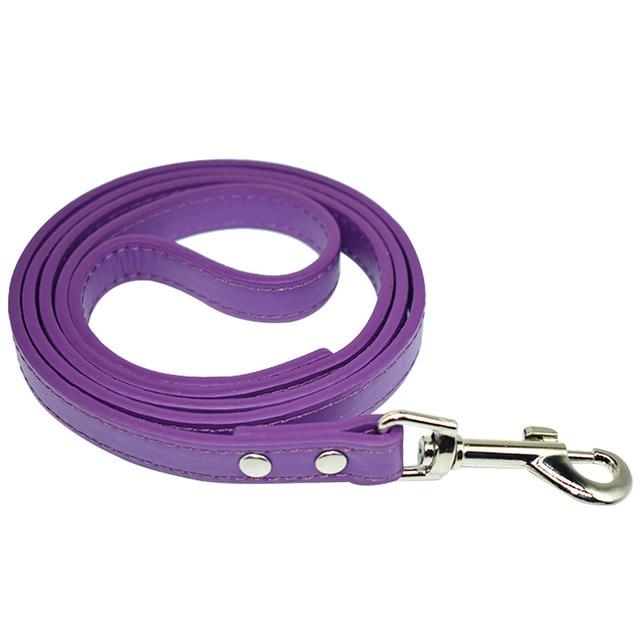 PU Leather Walking Dog Rope - iBelk