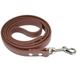 Load image into Gallery viewer, PU Leather Walking Dog Rope - iBelk
