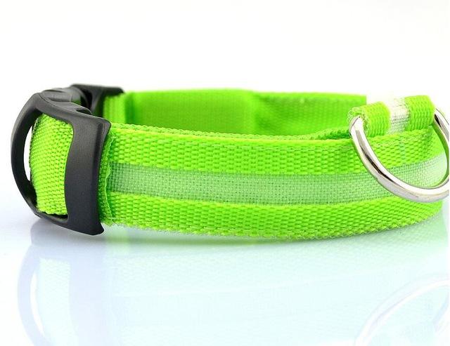 LED Dog Collar - Glow in the Dark Dog Collar - iBelk