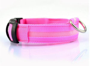 LED Dog Collar - Glow in the Dark Dog Collar - iBelk