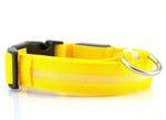 Load image into Gallery viewer, LED Dog Collar - Glow in the Dark Dog Collar - iBelk
