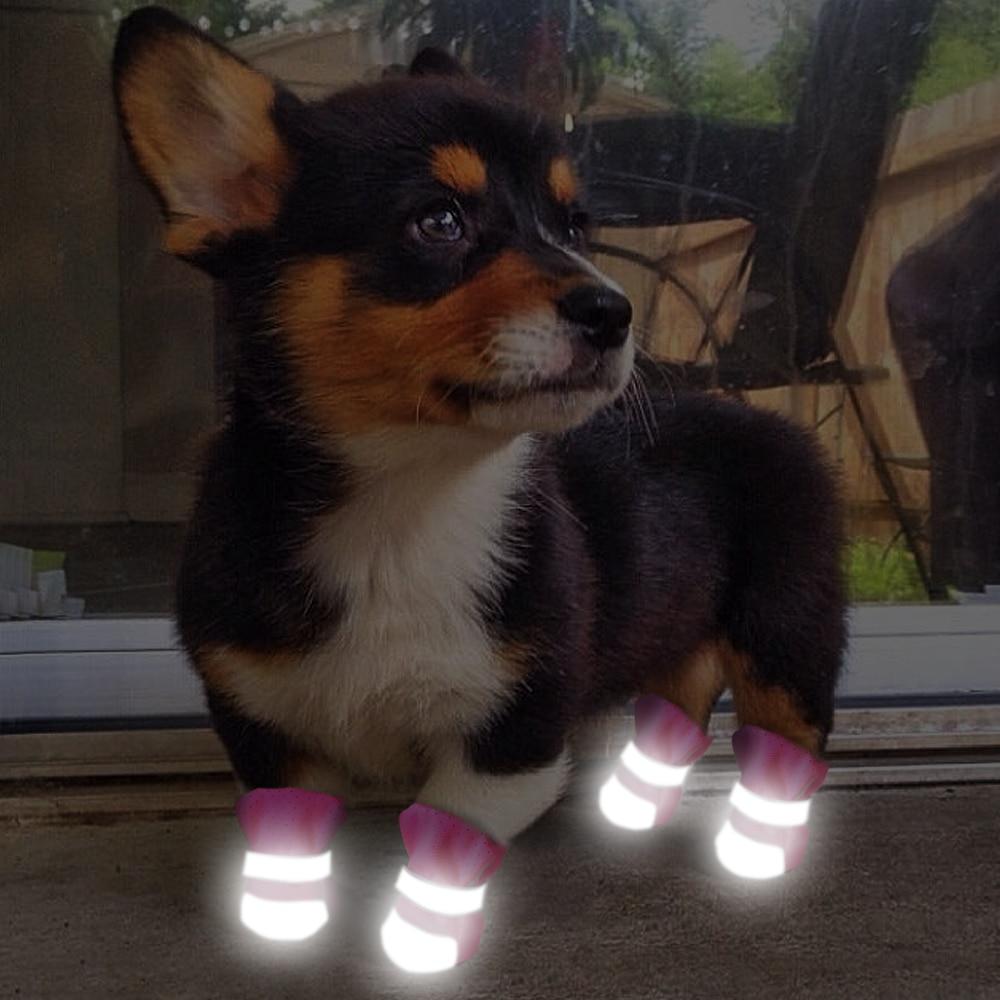 Paw Snow Boots - Pets (Reflective/Waterproof) - iBelk