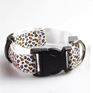 Light Up Dog Collar - iBelk