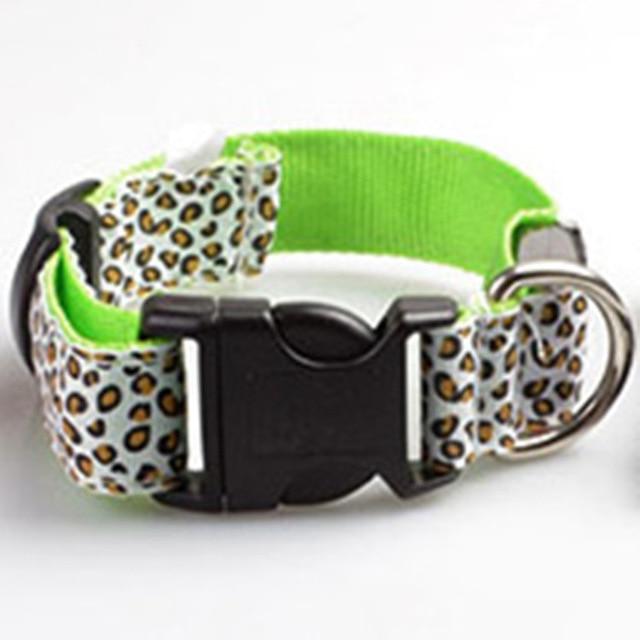 Light Up Dog Collar - iBelk