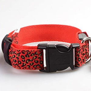 Light Up Dog Collar - iBelk