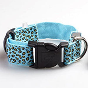 Light Up Dog Collar - iBelk