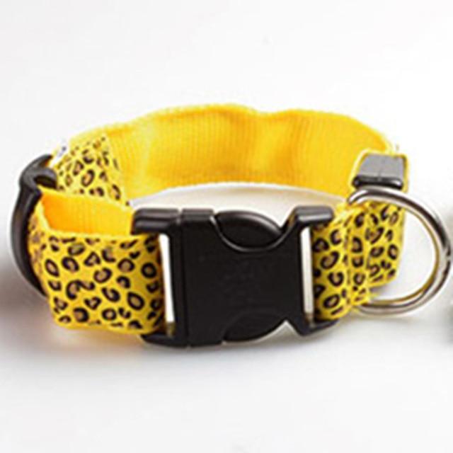 Light Up Dog Collar - iBelk