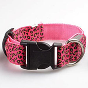 Light Up Dog Collar - iBelk