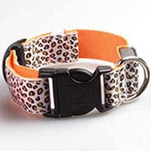 Light Up Dog Collar - iBelk