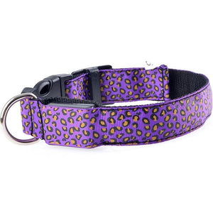 Light Up Dog Collar - iBelk