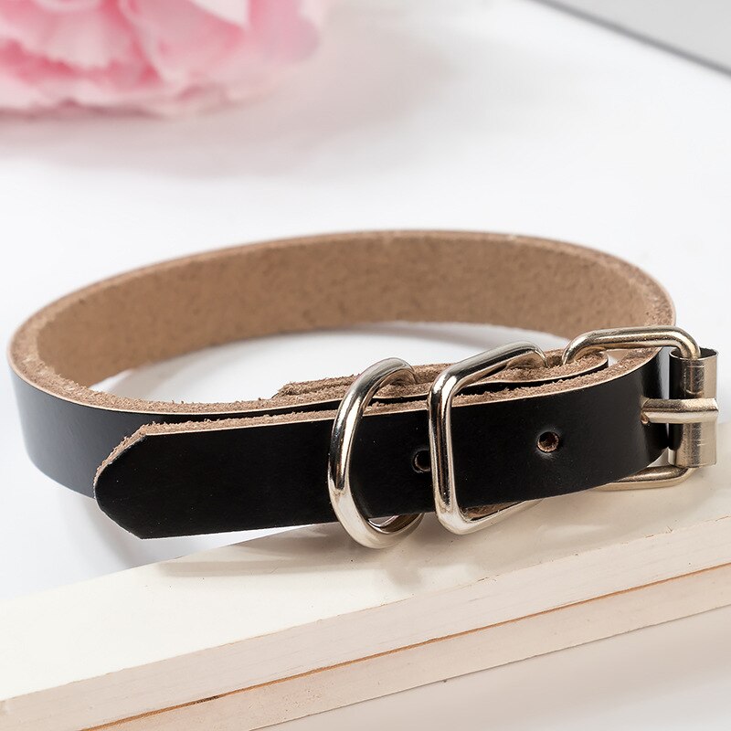 Durable PU Leather Dog Collar - iBelk