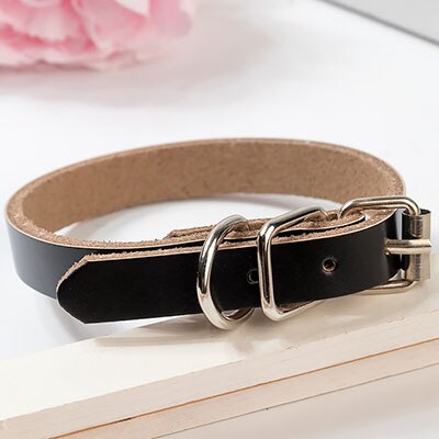 Durable PU Leather Dog Collar - iBelk