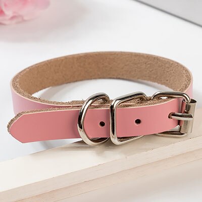 Durable PU Leather Dog Collar - iBelk